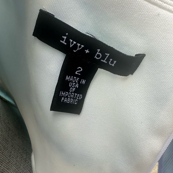 Ivy + Blu Dress NWT - Picture 9 of 10